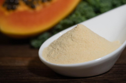 bulk papaya powder bulk papaya powder