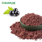 Serbuk buah currant hitam