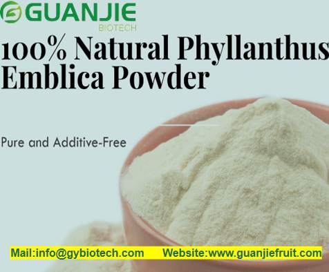 Phyllanthus emblica fruit powder Phyllanthus emblica fruit powder